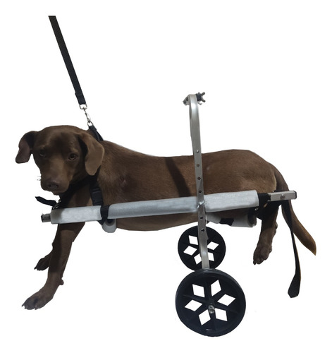 Cadeirinha De Rodas  Cão Cachorro Deficiente  Porte 8 A 15kg