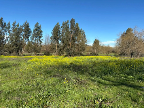 Venta De Terrenos  Sector Los Rulos