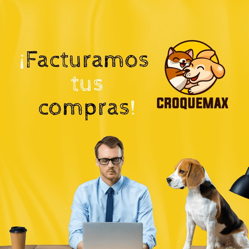 Imagen 2 de 2 de Dog Chow Perro Adulto Raza Mediana Y Grande Sabor Mix 25 Kg