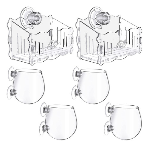 Copas De Cristal Para Plantas Acuáticas Aquatic Po, 6 Unidad