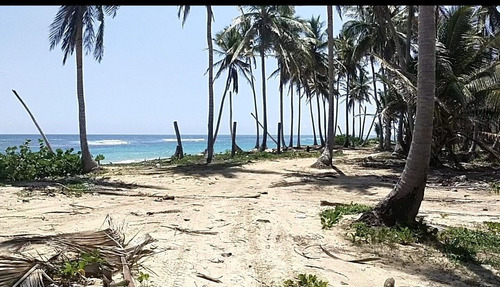 Terreno En Venta En Punta Cana Uvero Alto