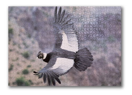 Imagen 2 de 4 de Puzzle 1.000 Piezas Animales: Cóndor Fauna Chilena