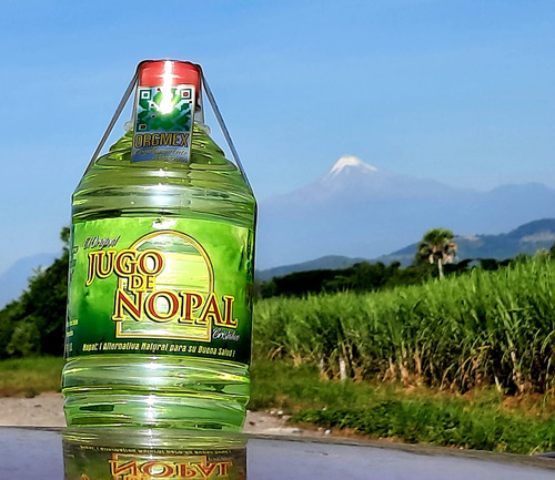 Jugo De Nopal Orgmex 1l