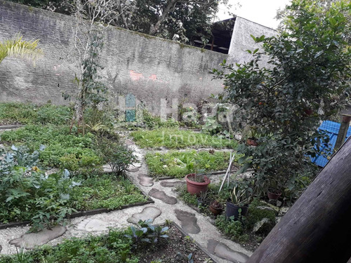 Imagem 12 de 17 de Casa À Venda No Bairro São Pedro Em Guabiruba/sc - 1520