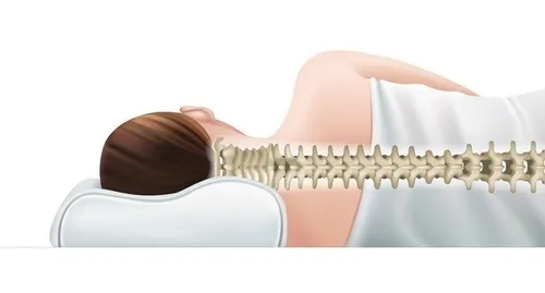 Cuello De Viaje Almohada Viscoelástica Cervical Multiflex