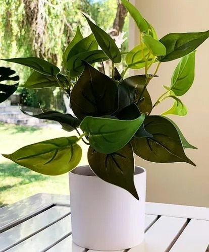 Imagen 5 de 10 de Plantas Artificiales De Escritorio Combo Pack X2