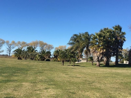 Excelente Campo En Roque Perez