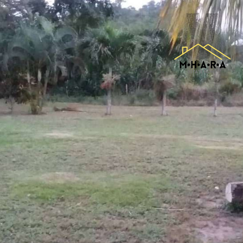 Parcela En Venta Vía Chuspa La Guaira Con Bienhechurias Y Siembra