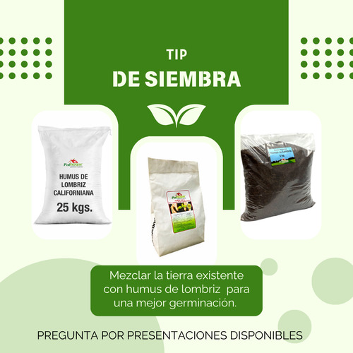 Semilla De Pasto Mezcla Germinaplus Clima Templado 1 Kg 40m2