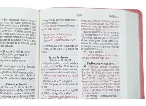 Biblia Nueva Version Internacional Letra Grande Fucsia/ Rosa