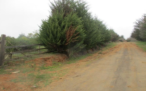 Parcela En Venta En Limache