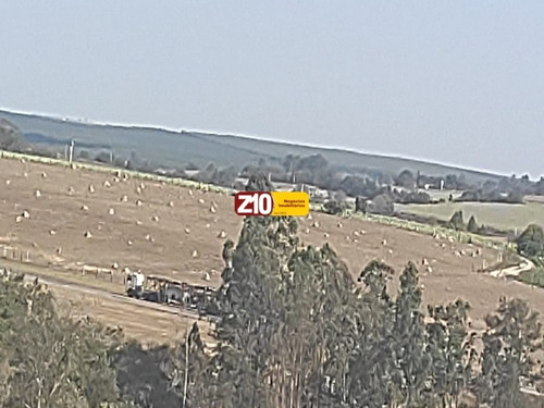 Imagem 8 de 9 de Área - Ar00202 - 32890791