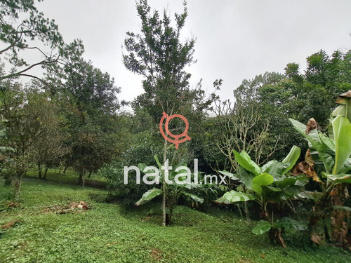 Terreno En Venta Centro Coatepec Veracruz