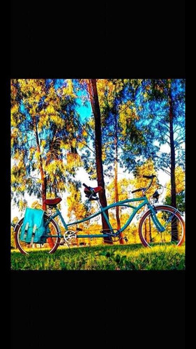 Bicicleta