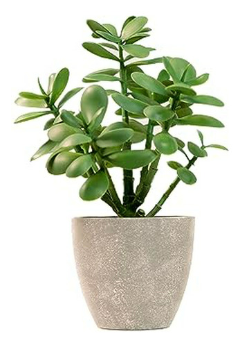 Planta Artificial De Jade En Maceta De 12.0 In, Planta Sucul