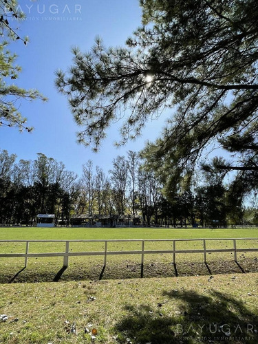 Imagen 16 de 23 de Venta | Club De Campo San Diego | Bayugar Negocios Inmobiliarios