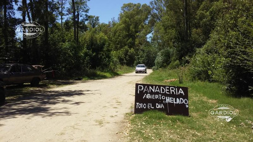 Venta. Terreno En Santa Ana. Colonia