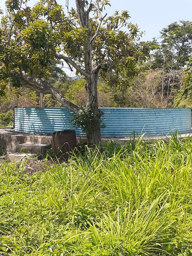 Imagen 3 de 14 de Finca Agroindustrial