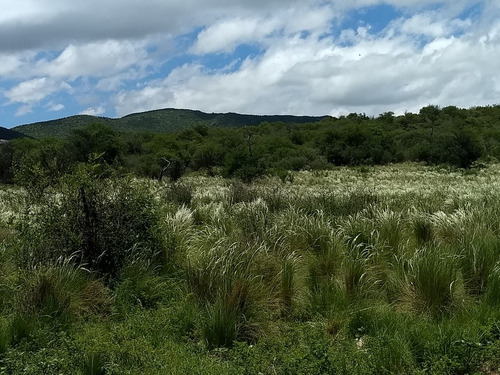 Imagen 3 de 9 de 1000 M2 En Panaholma Escritura Derechos Posesorios