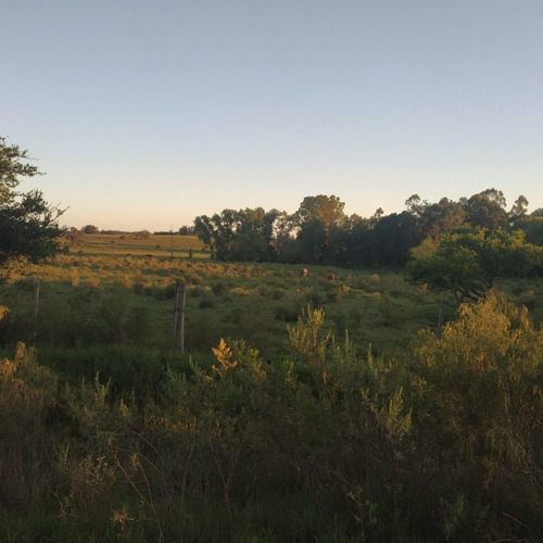 Vendo Muy Buen Campo Con Aguada Pte, Monte, Todo Alambrado!!