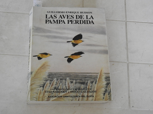 Las Aves De La Pampa Perdida  Hudson L572 