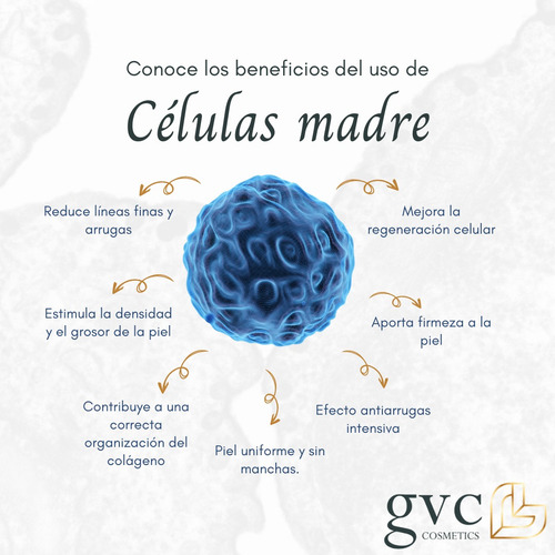 Gel Capilar Anti Caída Células Madre Gvc Cosmetics