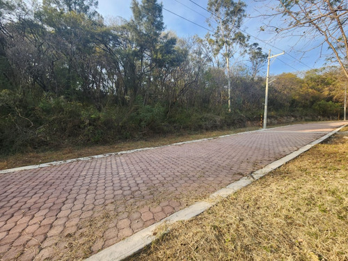 Venta Lote Gladiola 35 En Nueva Zona Del Fraccionamiento Con Bonitas Vistas, Todos Los Servicios Y Proyecto Incluído En Rancho San Diego Ixtapan De La Sal Edomex