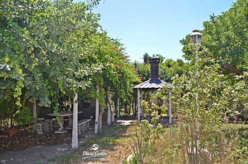 Imagen 11 de 21 de Ideal Quinta En Venta!!!