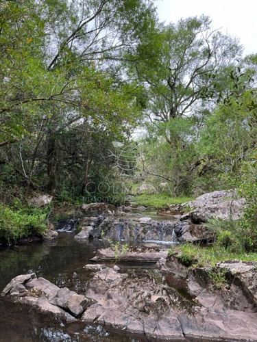 Imagen 9 de 11 de Campo En Carape - Con Hermosa Cañada - Oportunidad !!!!! - Zona Rural