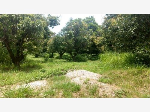 Imagen 5 de 12 de Terreno En Venta Ixtlahuacan