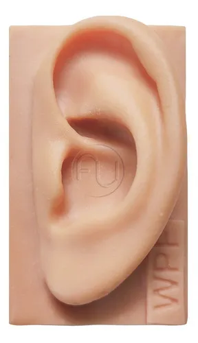 Oreja de silicona, mapa de auriculoterapia plastificado A4