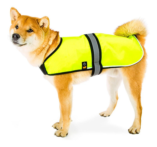 Ropa Para Perros Capa Radius - Impermeable Con Luz Led L