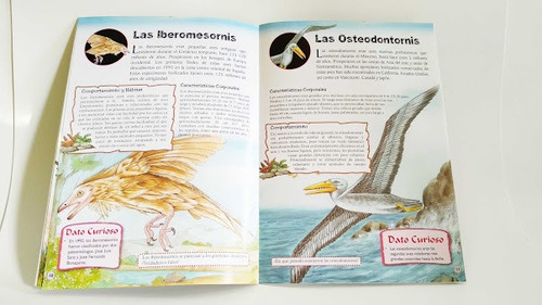 Animales Prehistoricos Aves Prehistoricas Dreams Art 5 Años