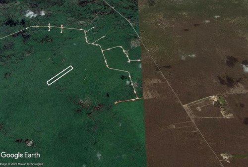 Imagen 5 de 5 de Terreno De 15 Ha - A 7 Km De Chicxulub Puerto