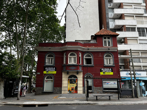 Gran Esquina, 21 De Setiembre Y Coronel Mora, 13 Mts De Frente, 242 M2 !!