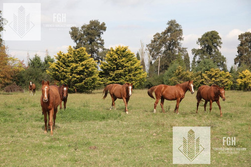 Imagen 3 de 30 de Lote Bosque En El Campo Fincas Exclusivas De Cardales