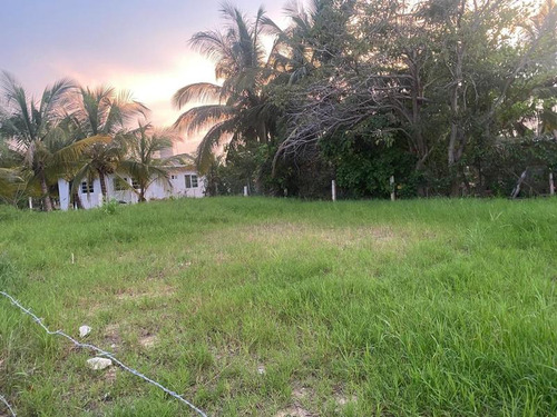 Venta Terreno 435 M² Col. Emiliano Zapata Tuxpan Veracruz