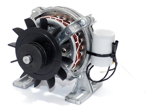 Motor De Tanquinho Lave Mais, Fioreta, Cimento 127v E 220v