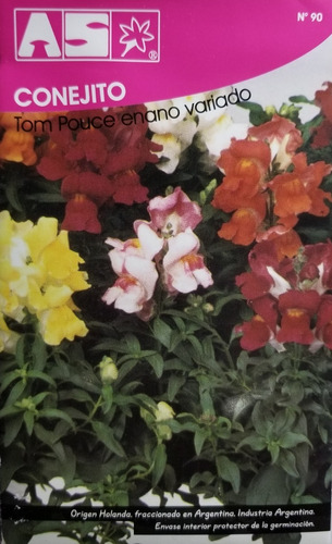 1890 Semillas Conejito Tom Pauce Enano Mix Premium
