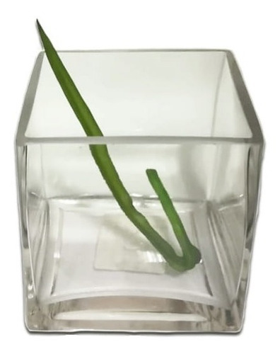 Imagen 2 de 9 de Florero Suvenir Cuadrado De Vidrio Importado 10 Cm Deco