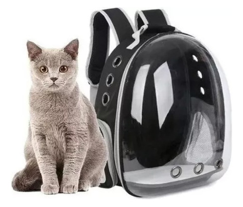 Mochila De Viaje Para Gatos Sacrifice Sports