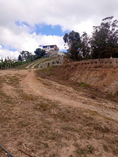 Imagen 2 de 13 de Best House Vende Increíble Terreno En Loma De Urquía En Los Altos Mirandinos