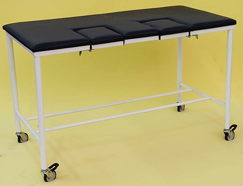 Imagem 2 de 2 de Mesa De Exame De Uso Veterinário