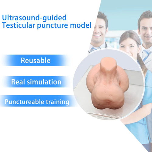 Modelo De Entrenamiento Con Punción, Biopsia Testicular Por