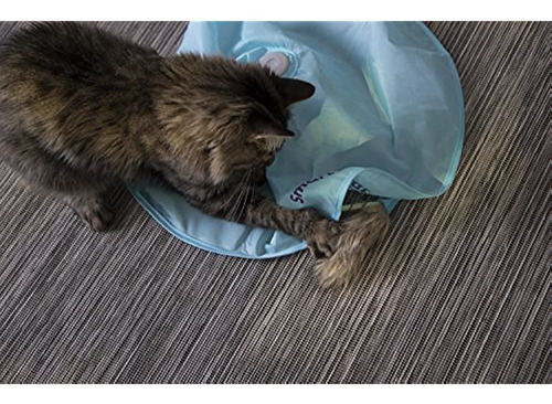 Juego Para Gatos - Indoor - Para Concentracion