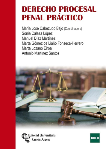 Derecho Procesal Penal Práctico (manuales) / María José Cabe