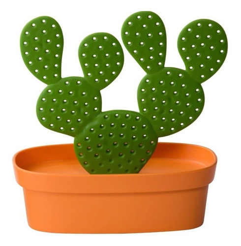 Joyero Cactus