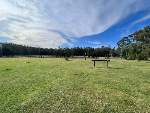 Imagen 3 de 14 de Venta Campo 115 Hectareas Ganadero Con Casco 700 Mts