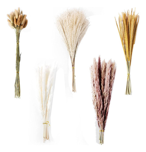 Home Decor Boho Pampas Dry Herb, Dried Flowers, 1 2024