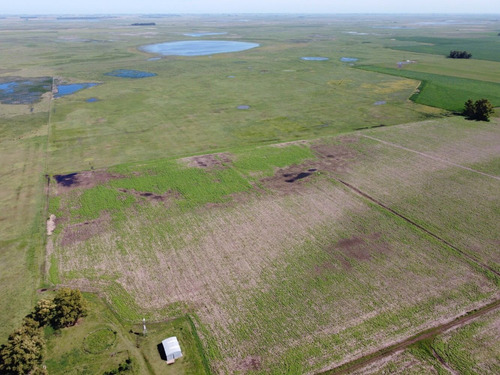 Imagen 3 de 14 de Excelente Campo De Explotación Mixta 681ha En General Pinto